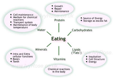 The Characteristics of Life - with examples ref. the human species ...