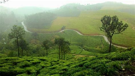 Munnar hill station ~ ml koottuz