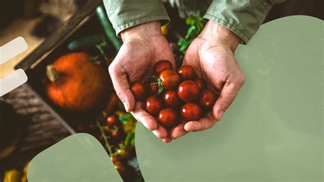 Sustainable Food Practices - Environment Co