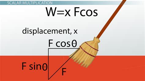 Multiplying of Vectors by Scalar | Quantities & Examples - Lesson | Study.com