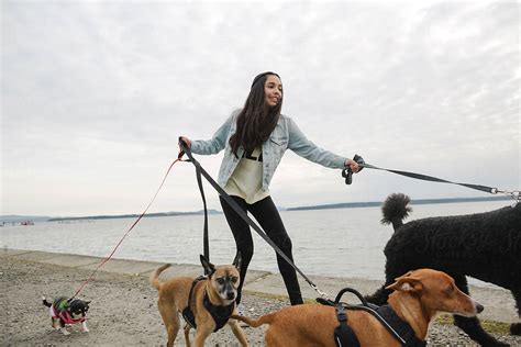 "Teenage Girl Walking Dogs" by Stocksy Contributor "Rob And Julia Campbell" - Stocksy