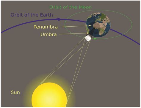 Starry Night Education | Astronomy and Earth Science Software