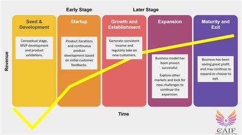 Stages Of Business Life Cycle