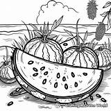 Watermelon Coloring Pages  Free & Printable sketch template