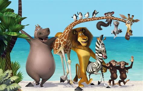 Wallpaper sea, palm trees, cartoon, Leo, Madagascar, penguins, giraffe ...