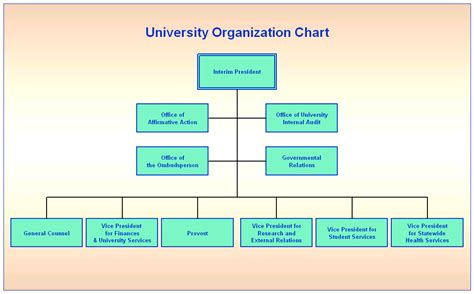 University Organization Chart