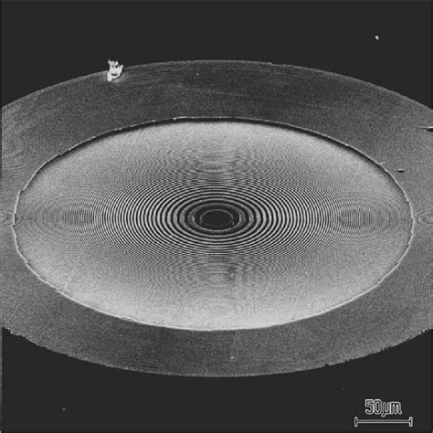 SEM image of Fresnel zone plate made from silicon. | Download Scientific Diagram