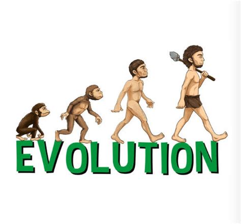 Evolution - Definition, Origin of Life and Ancient Theories