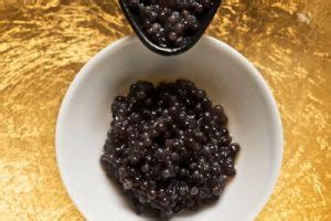 What is Caviar? Every thing you need to know - Foods Trend