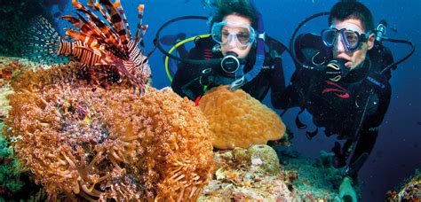 Scuba diving Nha Trang: A-Z guide for a memorable experience