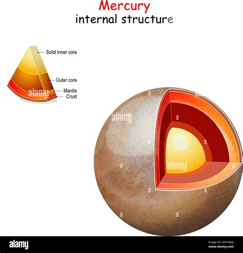 Mercury internal structure. cross section of planet from core to mantle and crust. Solar system ...