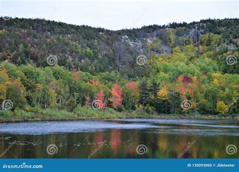 Fall colors in Maine stock photo. Image of arch, sand - 130093060