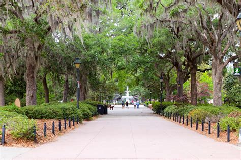 Forsyth Park Savannah GA Forsyth Park, Savannah Ga, Sidewalk, Side Walkway, Walkway, Walkways ...