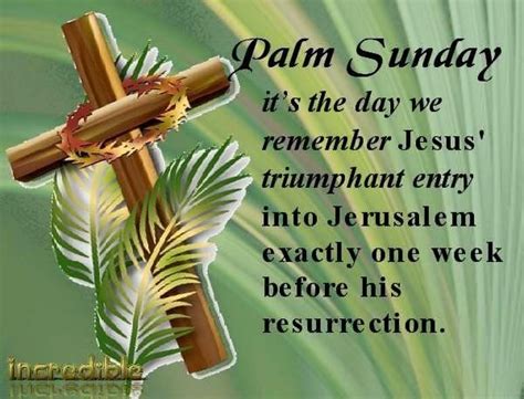 Funny Palm Sunday Quotes - ShortQuotes.cc