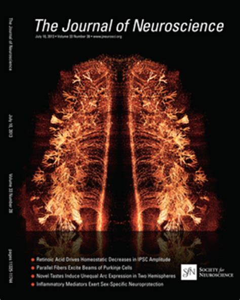 Journal of Neuroscience retracts plasticity paper for “substantial data misrepresentation ...