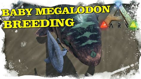 ARK SURVIVAL EVOLVED - MEGALODON BABY BREEDING [OCEAN BREEDING MOD] | AQUATIC MATING | [DEUTSCH ...