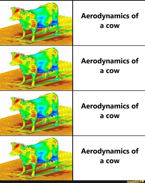 Aerodynamics of a cow Aerodynamics of a cow Aerodynamics of a cow ...