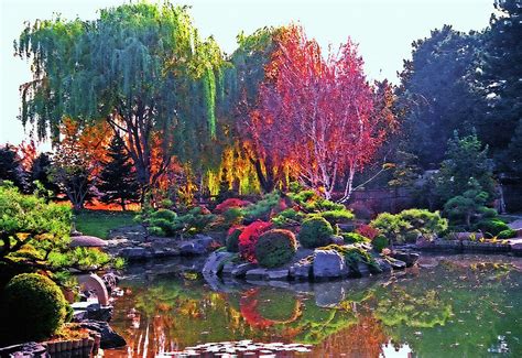 Denver Botanical Gardens 3 Photograph by Steve Ohlsen - Fine Art America