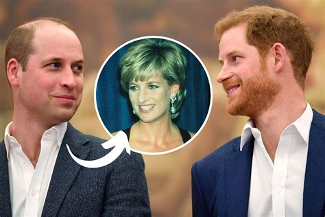 Prince Harry Thinks Prince William No Longer Resembles Diana