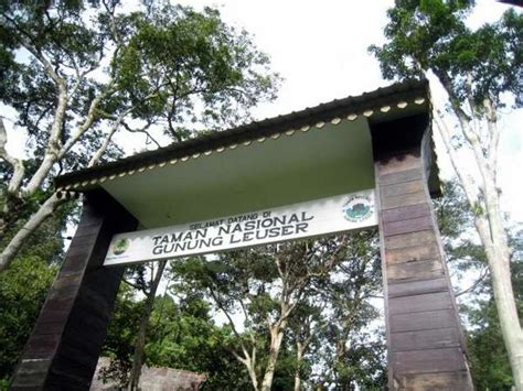 Pendakian Gunung Leuser - Touareg Adventure Services