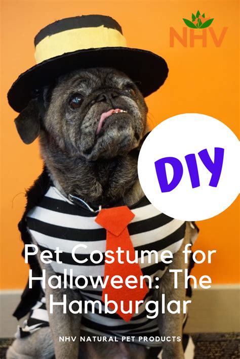 DIY Pet Costume: The Hamburglar | Diy pet costumes, Pet costumes, Diy stuffed animals