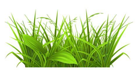 grass png images hd - Clip Art Library