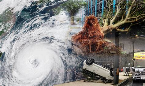 Typhoon Trami in PICTURES: Japan island Okinawa POUNDED by heavy rain and winds | World | News ...