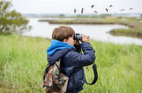 7 Tips for Using Binoculars This Spring - Bill Jacksons