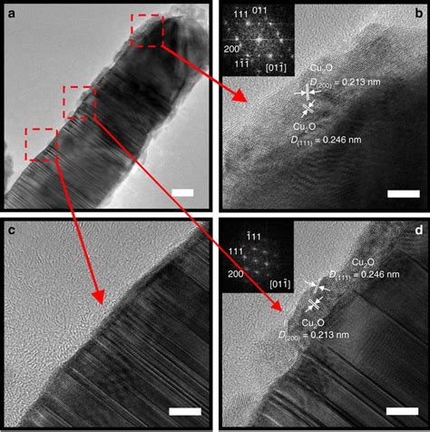 Morphology of crystalline Cu2O phase formed on a copper nanowire with... | Download Scientific ...