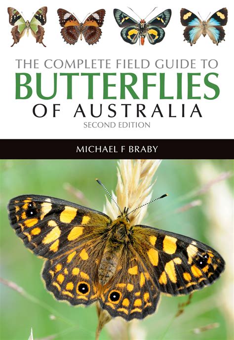 Butterfly Identification Chart Australia | Labb by AG