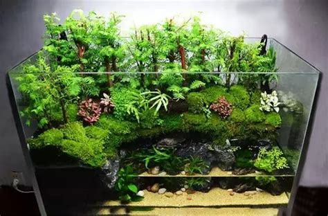 Paludarium Build Materials - Paludarium 2021