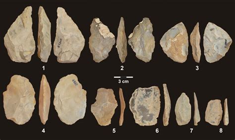 Paleolithic Stone Tools