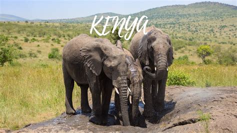 Kenya with Kids | Travelideas