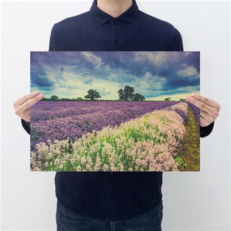 Provence Lavender Vintage Vellum Poster Decoration - Popular Screensavers Free - 800x800 ...