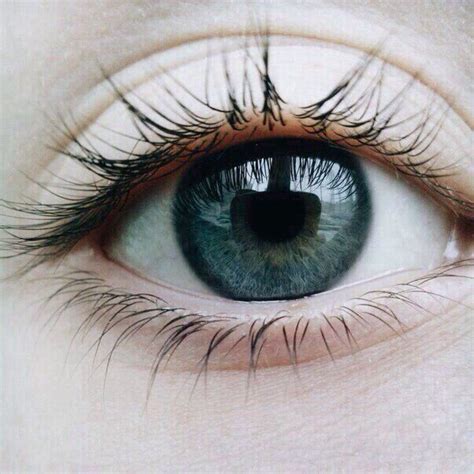 Pin by • Melissa • on • 眼睛 • | Beautiful eyes color, Dark green eyes, Blue eyes aesthetic