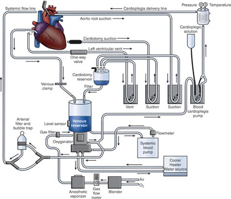 Heart Lung Machine