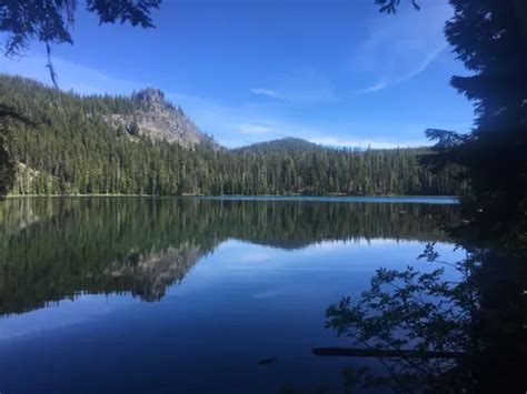 10 Best Hikes and Trails in Diamond Peak Wilderness | AllTrails