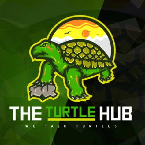 30 Turtle Logos for a Long Lasting Brand