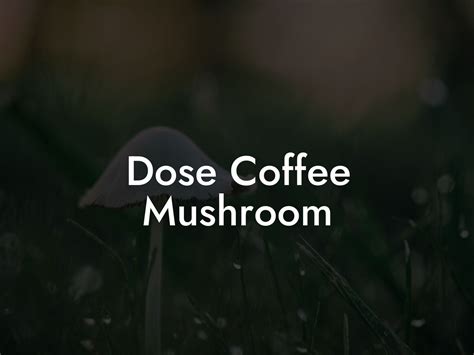 Dose Coffee Mushroom - Mr Mushroom