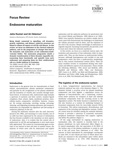 (PDF) Endosome maturation