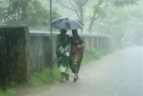 India Monsoon Season Health Tips to Avoid Getting Sick