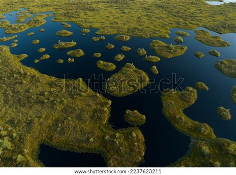 5,000 Mire Wetland Images, Stock Photos & Vectors | Shutterstock