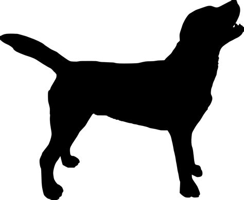 Labrador Retriever Silhouette Puppy Clip art - dogs png download - 1000*822 - Free Transparent ...