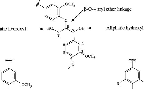 Structural components of lignin. | Download Scientific Diagram