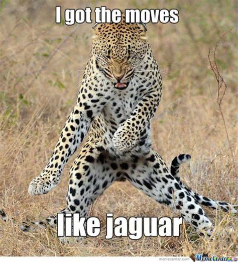 50+ Funny Happy Dance Memes That Will Put A Smile On Your Face