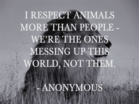 Respect For Animals Quotes. QuotesGram