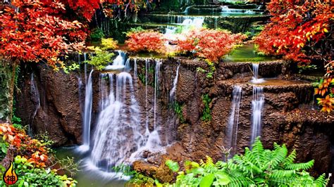 1 Hour Waterfall Meditation | Waterfall Sounds, Meditation Music, Relaxing Nature Sounds ♫392 ...