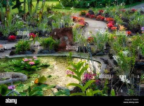 Gardens at .Kiahuna Plantation Gardens. Poipu, Kauai, Hawaii Stock Photo - Alamy