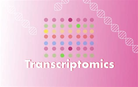 What Is Transcriptomics?