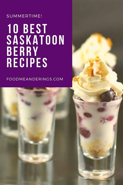 I have rounded up the 10 best Saskatoon Berry Recipes for you to make ...